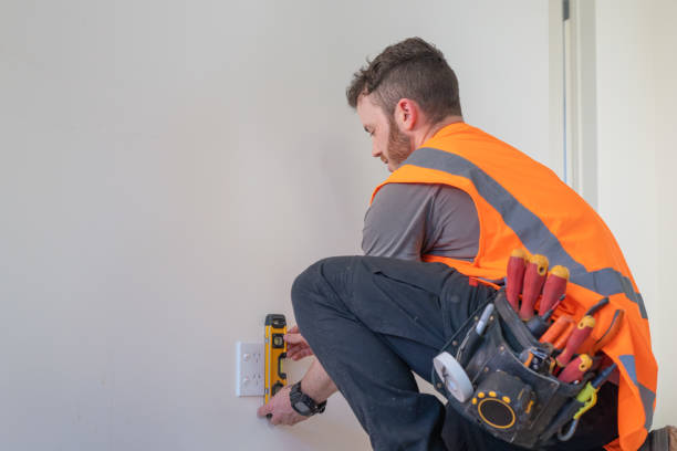 Best Electric Panel Repair  in Seabrook Farms, NJ